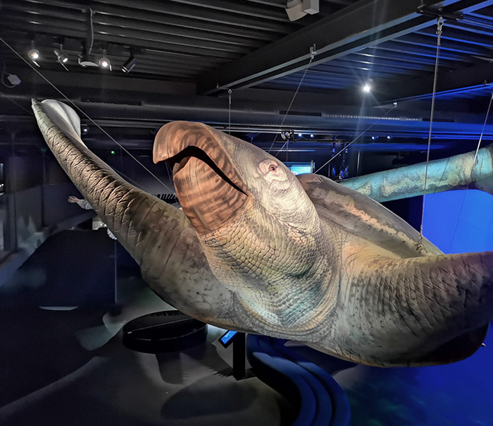 Progettazione e fresatura di un Archelon esposto al Museo Nazionale paleolitico d’Isernia