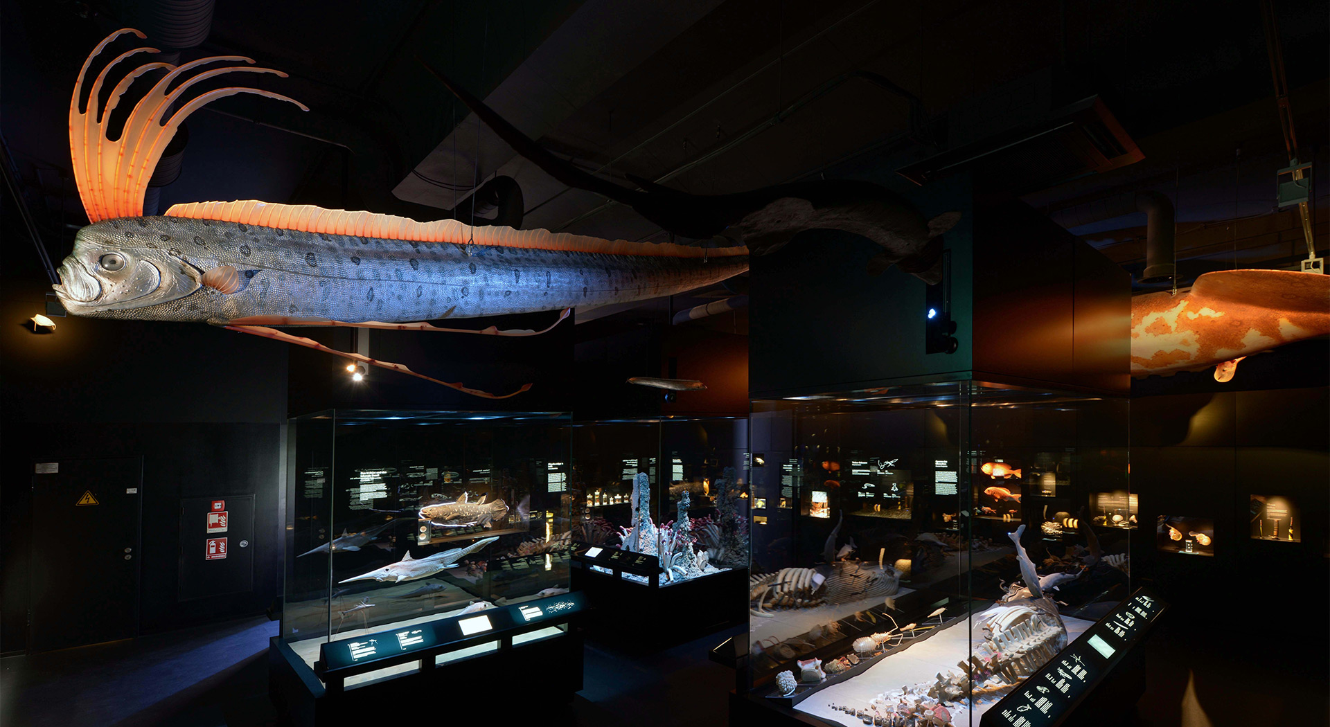 Le realizzazioni per il settore museale Bat-Tech